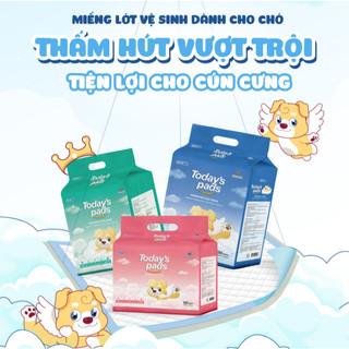 Miếng lót vệ sinh cho chó 50 miếng (40x50mm)