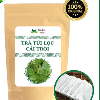 Trà cây cải trời, giảm u tuyến giáp, bướu cổ - 40 túi lọc