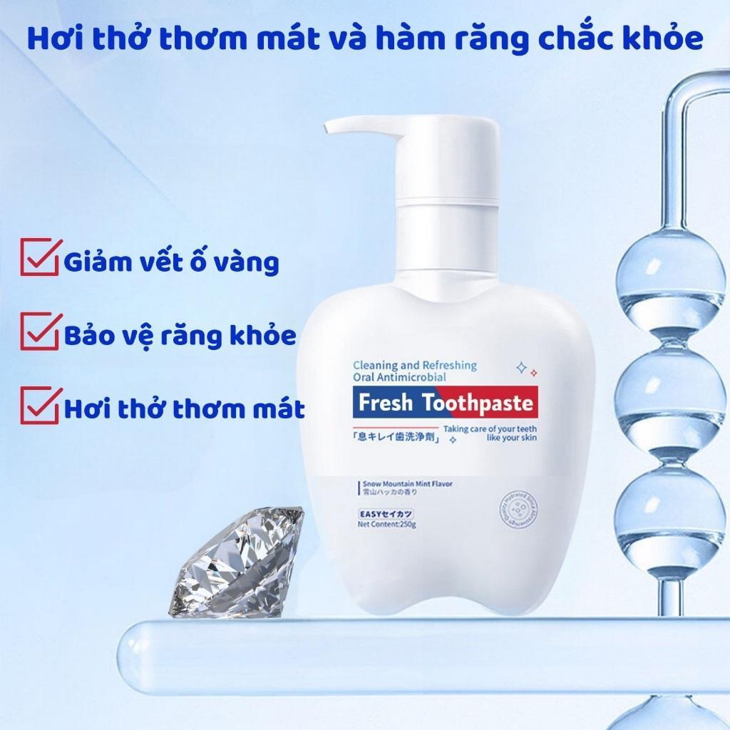Kem Đánh Răng Fresh Toothpaste - Kem Đánh Bật Cao Răng, Ố Vàng,Trắng Sáng, Thơm Miệng, Hết Hôi Miệng Fresh Toothpaste