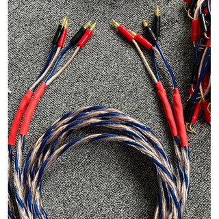 Dây loa Liton USA cặp 5m