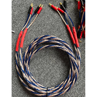 Dây loa Liton USA cặp 5m