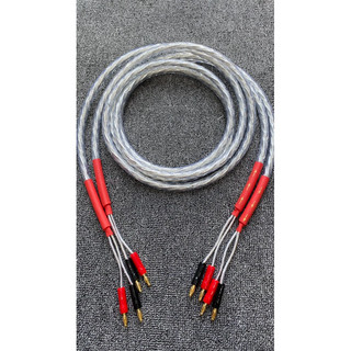5m dây loa Liton Mỹ mạ bạc