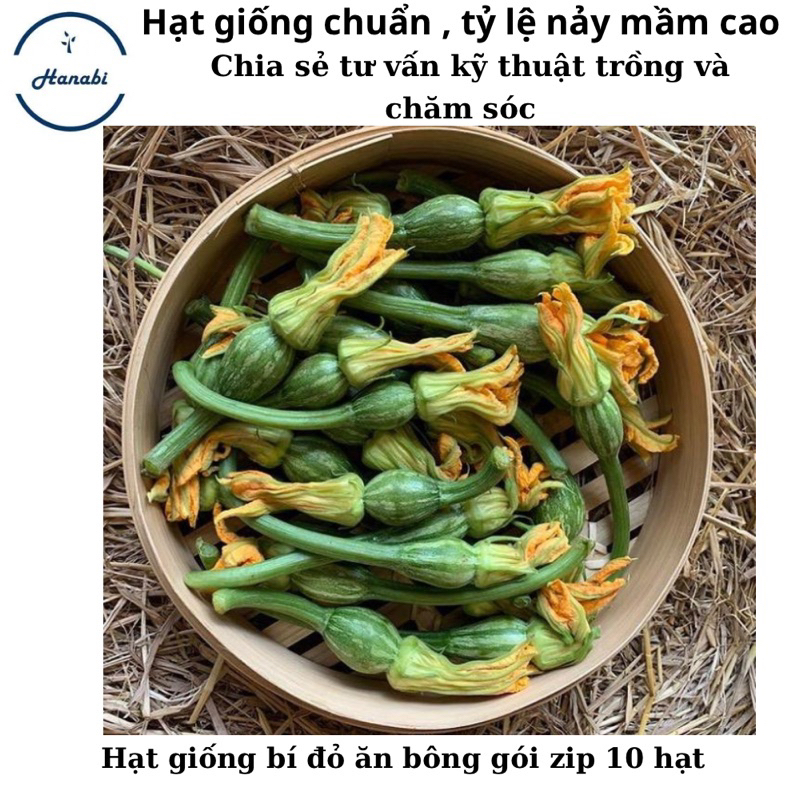 Hạt giống bí siêu bông