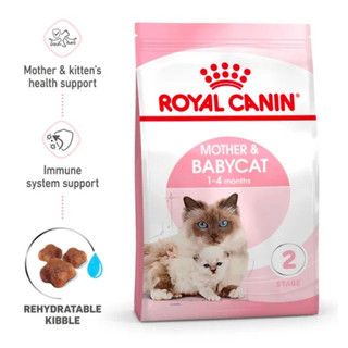 Thức ăn cho mèo mẹ & mèo con dưới 4 tháng tuổi - Royal Canin Mother&Babycat