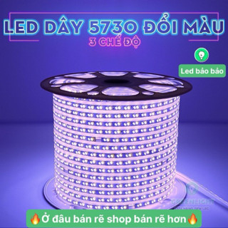 Đèn LED Dây cao cấp sáng 3 chế độ vàng-dương, trắng-vàng trang trí hắt trần thạch cao (ghim/rút điện để đổi màu LED Dây)