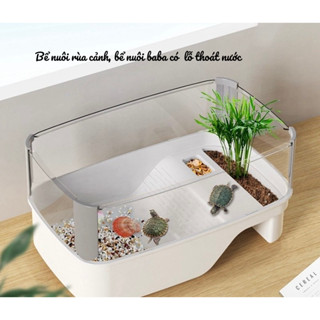    Mẫu Mới  Bể nhựa nuôi rùa baba kích thước lớn bể nuôi baba. Bể nuôi rùa baba có lỗ thoát nước 
