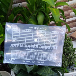Bìa Nút A4/F4 My Clear (Bìa Sơ Mi)(GIÁ TẠI KHO)