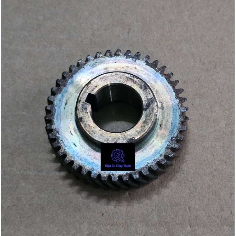 Bánh răng máy cắt sắt bàn (lưỡi 350mm 355mm) ACZ. 9355/ LG./ DCA. AJG02-355