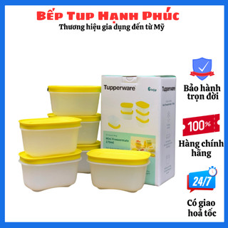 Hộp trữ đông mini freezermate gen ii 170ml