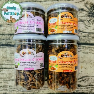 Nhộng, dế sấy lạnh hãng Thái - thức ăn bổ dưỡng cho Hamster, Nhím Kiểng, Sóc Bông, Sóc Đất,...