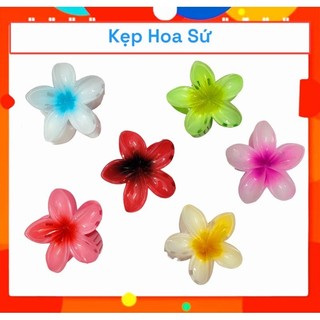 Kẹp tóc hoa sứ - 8cm