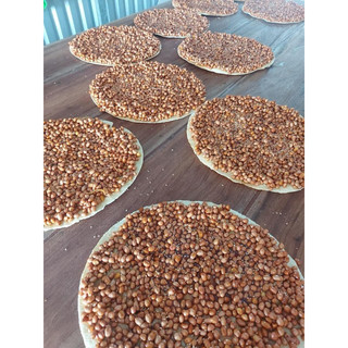 Kẹo Đậu Phộng Nước Cốt Dừa Giòn (500gr)