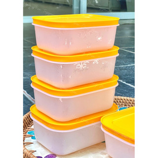 Hộp trữ đông Tupperware Freezermate Gen II 450ML Chính Hãng