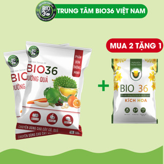 Combo 2 TẶNG 1 BIO 36 Siêu Dưỡng Quả Hỗ Trợ Làm Ngọt, Chống Sượng, Dày Cơm, Chống Rụng Nứt Quả