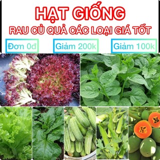 Hạt giống rau cải, rau thơm, củ quả nảy mầm tốt trồng mùa hè GIÁ TỐT