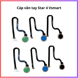 Cáp vân tay vsmart star 4