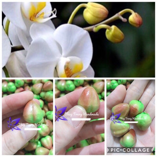 5 nụ lan hồ điệp to như nụ thật làm nụ hoa voan, hoa giấy