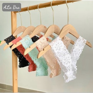 Combo 5 quần lót chữ Y nữ màu ngẫu nhiên hàng ren cao cấp ALABRALETTE