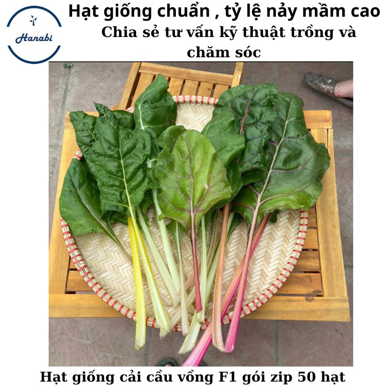 Hạt giống cải cầu vồng