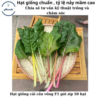 Hạt giống cải cầu vồng