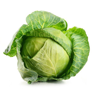 Hạt giống bắp cải xanh