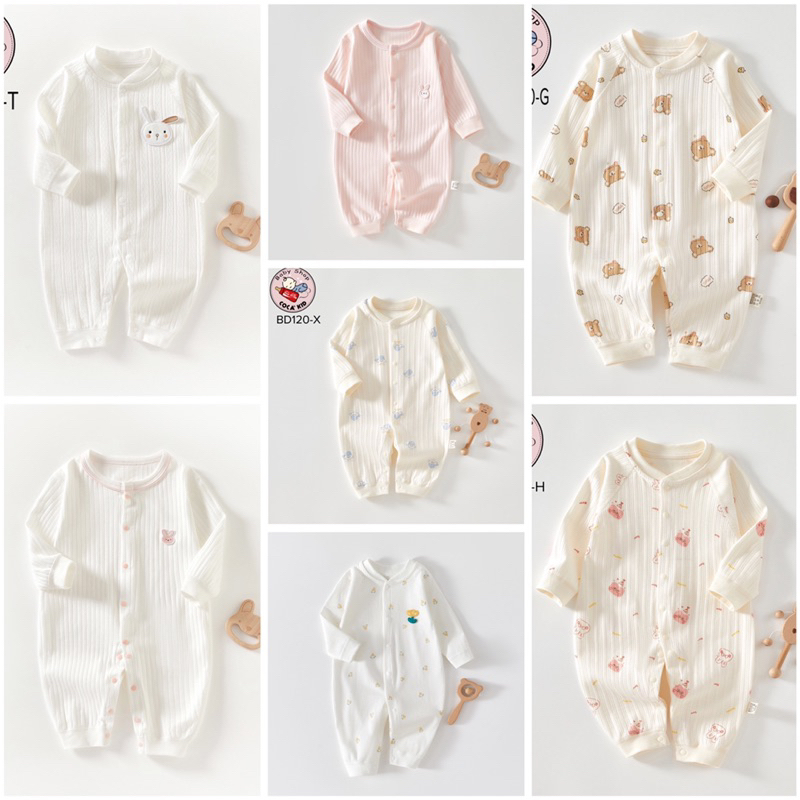BODY COTTON CÚC GIỮA QUẢNG CHÂU