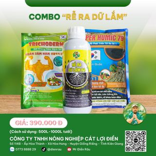Combo rễ ra dữ lắm ra