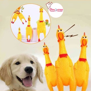 Đồ chơi Gà cho thú cưng cắn , Đồ chơi cắn ngặm cho Chó mèo