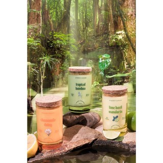 Nến thơm workshop candles h&h home size 6.5oz bst mùa hè 2024