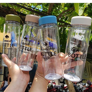 Bình nước trong 500ml Echo Metal hàng nhập từ Nhật Bản
