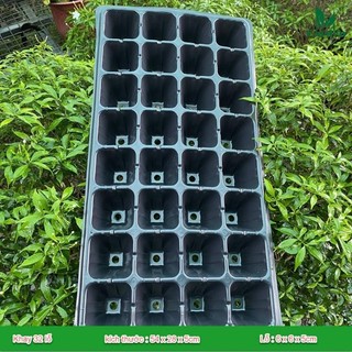 Khay ươm hạt giống 21 lỗ,32 lỗ, 50, 72,105,128,200 lỗ