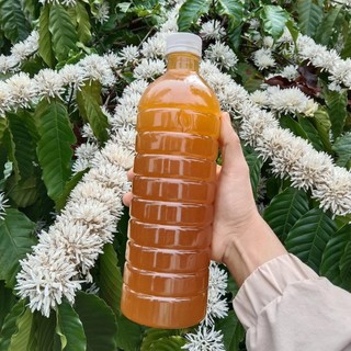 Mật ong hoa cà phê nguyên chất 1000ml