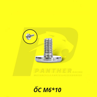 Ốc dàn áo inox304