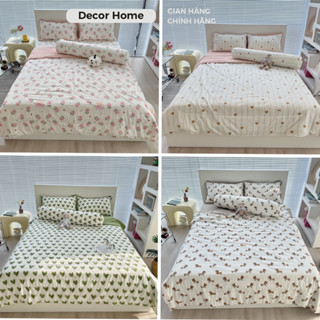 Bộ 5 món Cotton Đũi chăn chần bông Xơ Đậu Nành bảng màu hothit xinh xắn