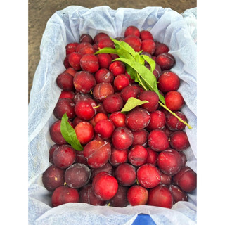 [Chỉ Giao HCM] Mận Cherry - 500g