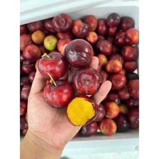 [Chỉ Giao HCM] Mận Cherry - 500g