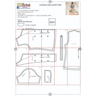Rập giấy A0 áo cổ danton cách điệu mã 1113  (BẢN VẼ)