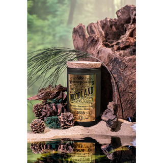 Nến thơm Woodland Workshop Candles H&H Home 8.8oz hương gỗ ấm áp