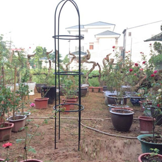 Khung đỡ,khung tháp, giá đỡ hoa hồng leo, cây trang trí màu xanh cao 1,8m đường kính 40cm, ống 13mm