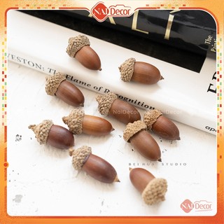 Set 10 hạt sồi (loại 1) Nai Decor dùng chụp ảnh, trang trí trong phòng, trang trí tiệc cưới.
