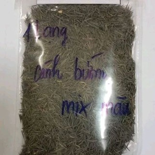 (Gói 100 Gram >9000 hạt ) hạt giống hoa sao nhái (cánh bướm) nhiều màu ( đỏ, Hồng, Trắng, sọc viền..). Dễ Trồng, Hoa Nở