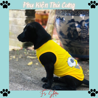 Áo cho mèo, quần áo thú cưng, size xs - xxl , A5