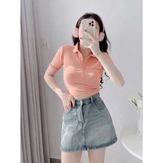 Áo Thun Nữ, Áo Thun Cổ Bẻ Dáng Croptop Nhiều Màu Freesize <53kg Thảo Xinh Store
