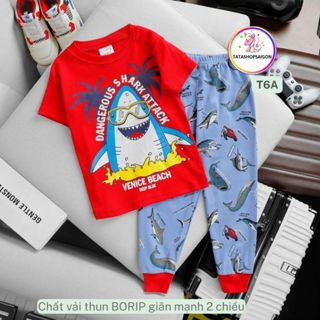 A41 Bộ quần áo bé trai tay ngắn quần dài size đại thun borip xuất xịn 20 đến 40kg