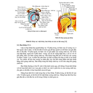 Sách - Giải phẫu người (Tái bảb 2025)