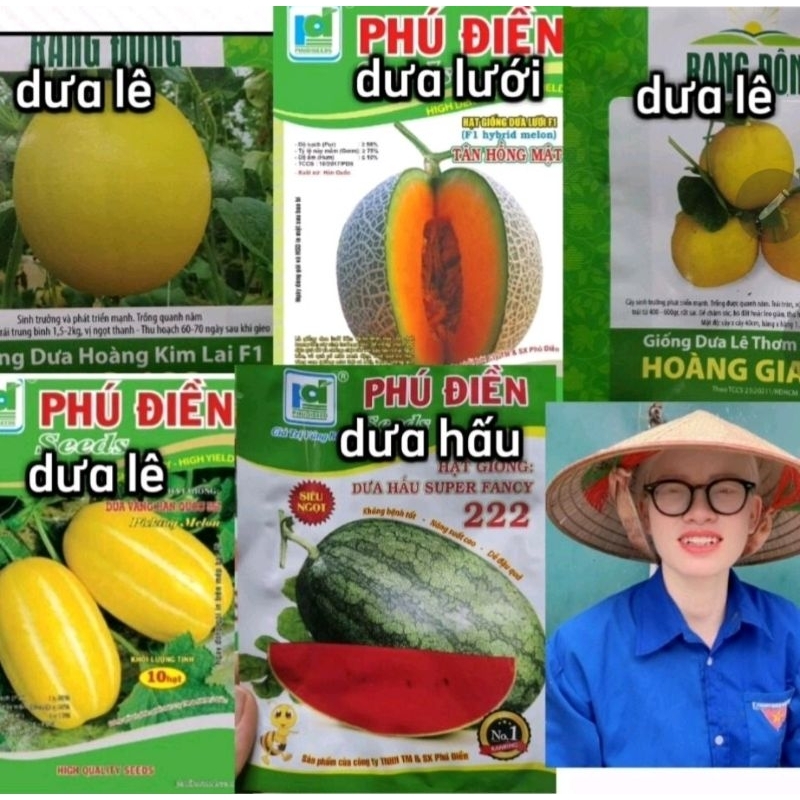 combo 5 GÓII GIỐNG DƯA , dưa hấu đỏ 20 hạt,  lê hàn 10 hạt  lê kim 5 hạt , lê thơm 20 hạt,  dưa lưới