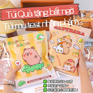 Túi mù Blindbox Capybara, quà tặng bất ngờ, test nhân phẩm, luckybox 8-10 món, Luckybox Capybara Youngcityshop