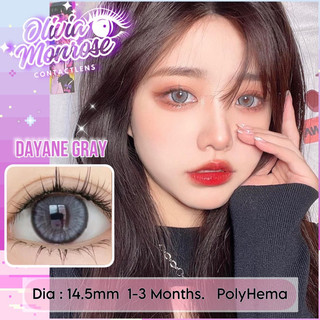 Dayane Gray Lens [ Tặng kèm khay đựng lens ]