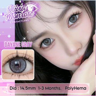 Dayane Gray Lens [ Tặng kèm khay đựng lens ]