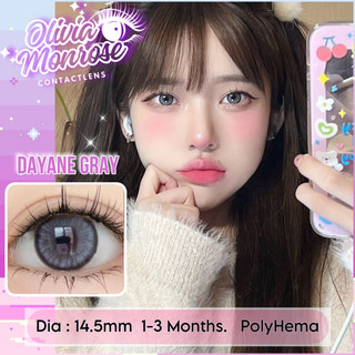 Dayane Gray Lens [ Tặng kèm khay đựng lens ]